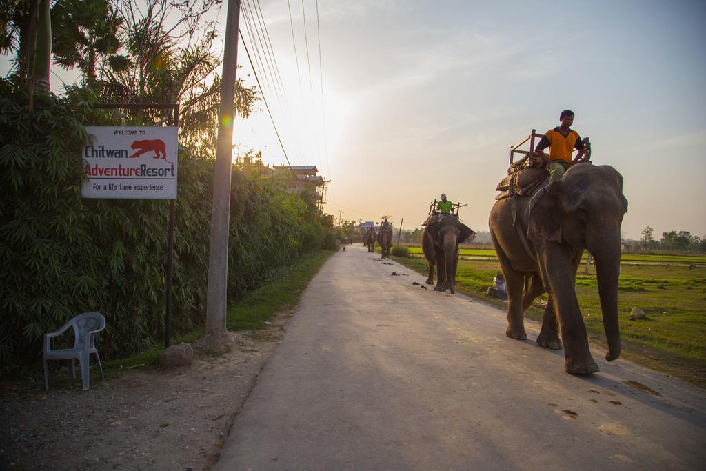 Chitwan Adventure Resort Sauraha Luaran gambar